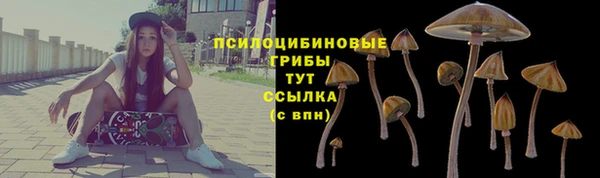 гидропоника Аркадак