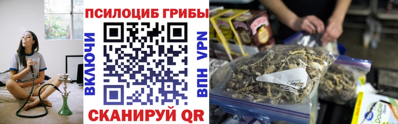 купить   Сунжа  Галлюциногенные грибы ЛСД 