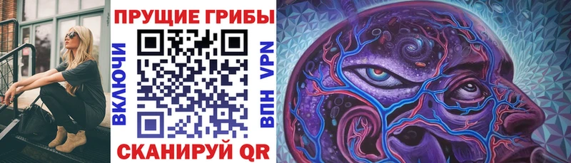 Псилоцибиновые грибы прущие грибы Сунжа